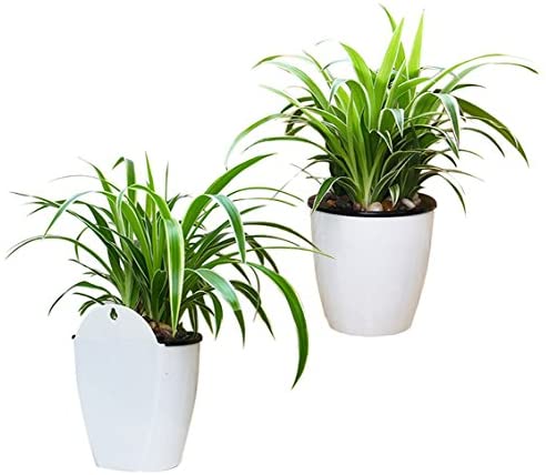 Self Watering Hanging Planters Large 7pcs